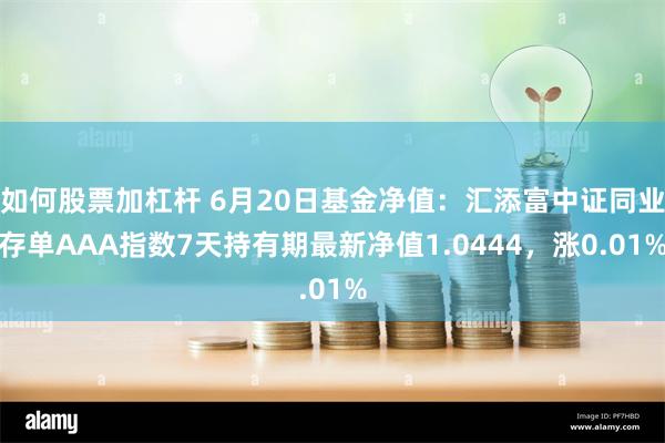 如何股票加杠杆 6月20日基金净值：汇添富中证同业存单AAA指数7天持有期最新净值1.0444，涨0.01%