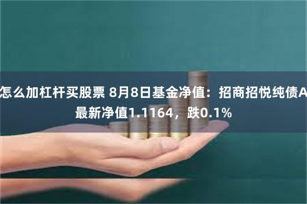 怎么加杠杆买股票 8月8日基金净值：招商招悦纯债A最新净值1.1164，跌0.1%