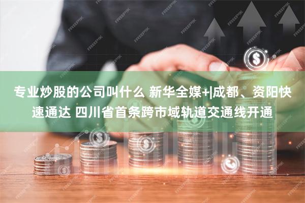 专业炒股的公司叫什么 新华全媒+|成都、资阳快速通达 四川省