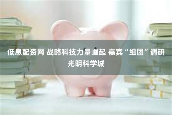 低息配资网 战略科技力量崛起 嘉宾“组团”调研光明科学城